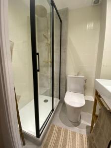 a bathroom with a shower and a toilet and a sink at Joli Studio proche Mer et Digue de Wimereux in Wimereux