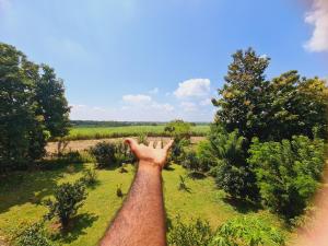 Paesaggio naturale nelle vicinanze dell'affittacamere
