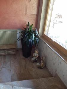 Fotografie z fotogalerie ubytování Pension Sohlhof v destinaci Baiersbronn