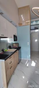 a kitchen with a sink and a stove top oven at LEFKAS CITY APARTMENTS & Suites in Lefkada Town