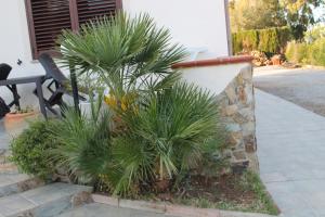 Zahrada ubytování B&B Casa Vacanze La Mimosa Alghero