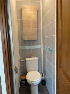 Elle comprend une petite salle de bains pourvue de toilettes blanches. dans l'établissement Résidence Investar appartement 3, à Montluçon