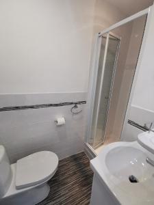 uma casa de banho com um WC, um lavatório e um chuveiro em The Kerswell Hotel em Morecambe