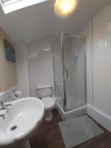y baño con aseo, lavabo y ducha. en Self Catering Cottage, en Talsarnau