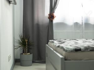 Postel nebo postele na pokoji v ubytování Apartament Uniejów