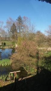 une masse d'eau avec un arbre et un étang dans l'établissement De Geheime Tuin - Uitzicht, à Epe