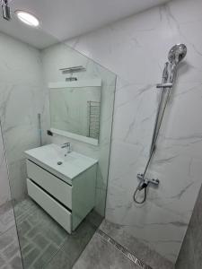 キシナウにあるComfortable Luxury Apartments in Centerの洗面台と鏡のあるバスルーム