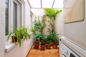 Vonkajšia záhrada v ubytovaní Spacious apartment in El Campello, 120 m², shared pool
