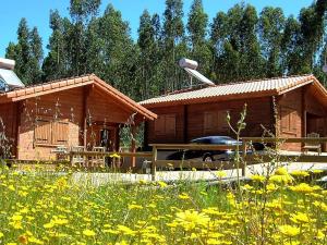 a house with a car parked in front of it at Cozy studio in Figueiró dos Vinhos 56 m² with shared pool in Figueiró dos Vinhos