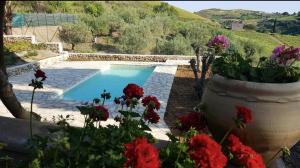 Salemiにある4 bedrooms villa with private pool enclosed garden and wifi at Trapani Sicileの庭の隣の鉢植えの花プール