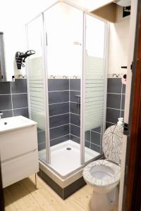 ein Bad mit einer Dusche und einem WC in der Unterkunft laureclipse2 in Mers-les-Bains