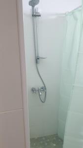 a shower with a shower head in a bathroom at Mikhail Zandukeli 34 Studio in Tbilisi City