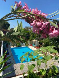 vistas a la piscina desde el balcón de un hotel con flores rosas en On Oda Oludeniz en Oludeniz