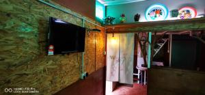 伯恩倉的住宿－New Famer Hut 2，一间石墙上配有电视的房间