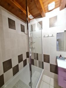 a bathroom with a shower and a sink at Domaine du Cuiset -Gîte des Combles in Saint-André-sur-Vieux-Jonc
