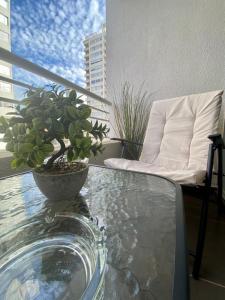 a glass table with a potted plant on a balcony at Cumbre de Reñaca II in Viña del Mar