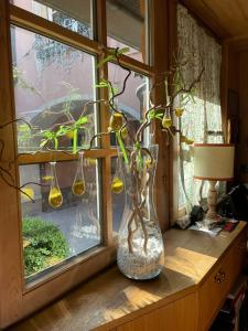 Calliano的住宿－老鷹村酒店，花瓶,花瓶上放着植物,坐在窗台上