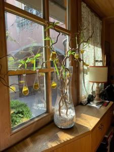 a vase with a plant sitting on a window sill at Villaggio Hotel Aquila in Calliano