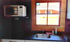 a kitchen with a sink and a microwave and a window at Lupine Lodge in Gramsbergen