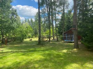 a yard with a swing set in the woods at Mazury- dom wakacyjny in Pisz
