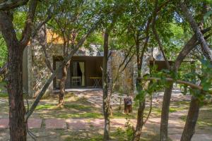 a house in the woods with trees at Cabañas Apart Margaridas in Merlo