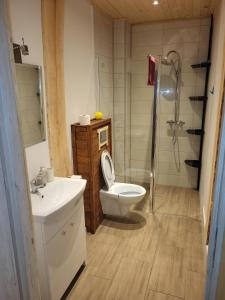 La salle de bains est pourvue de toilettes, d'un lavabo et d'une douche. dans l'établissement Gościniec u Zalesia Warchały Noclegi Zalewski, à Warchały
