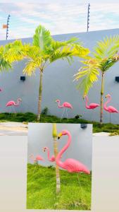 um grupo de flamingos cor-de-rosa junto às palmeiras em KG Villa em Grand Baie