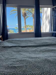 1 dormitorio con 1 cama y vistas a la palmera en San Agustin2, quiet apartment close to the beach, en San Bartolomé