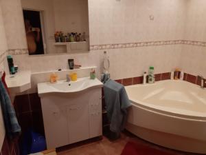 W łazience znajduje się wanna, umywalka i lustro. w obiekcie Krásny byt, Košice, Juhoslovanska1. Ťahanovce w Koszycach