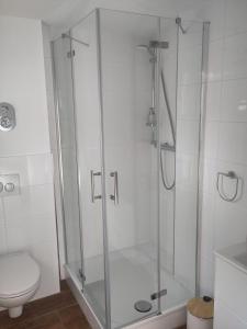 y baño con ducha de cristal y aseo. en Ferienwohnung-Hahnenstrasse, en Steinfurt