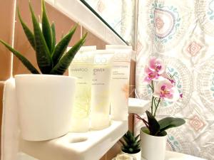 a bathroom with a shelf with toiletries and plants at Southwinds Inn by The Gold Nests in Hollywood