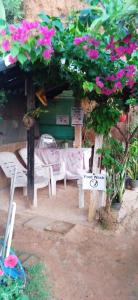 Κήπος έξω από το top sea view guest