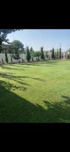 un grand champ d'herbe verte à l'ombre dans l'établissement The Gardenia7, à Srinagar