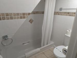 a bathroom with a shower and a toilet at Bridge Terrace E in Southampton