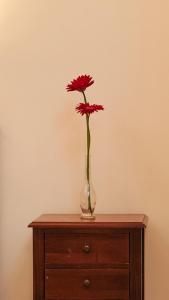 a vase with a red flower in it on a dresser at Cagliari Novecento in Cagliari