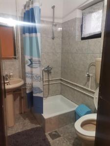 a bathroom with a shower and a toilet and a sink at Smestaj Vlasina in Surdulica