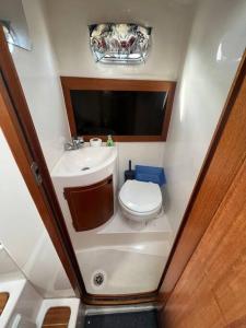 uma pequena casa de banho com WC e lavatório em House boat FreeInDeed em Bar