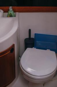 uma casa de banho com um WC branco e um lavatório. em House boat FreeInDeed em Bar