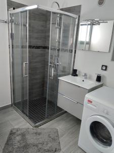 a bathroom with a shower and a washing machine at l'an dormi vacances in La Plaine des Cafres