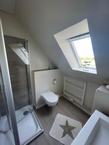 La salle de bains est pourvue d'une douche, de toilettes et d'une fenêtre. dans l'établissement Haus-Seeschwalbe-Wohnung-2, à Nieblum
