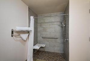 Koupelna v ubytování Quality Inn & Suites Round Rock