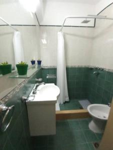 La salle de bains est pourvue d'un lavabo, de toilettes et d'une douche. dans l'établissement Departamento sobre la costanera, à Corrientes