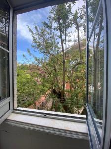 a window with a view of a tree at Casa do Mocho II in Lisbon