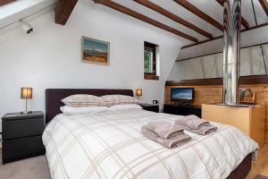 a bedroom with a large bed and a tv at Hafod Rowen in Llangelynin