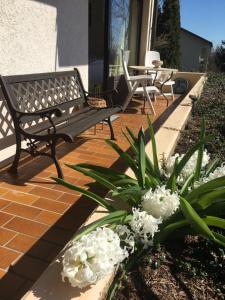 Zahrada ubytování Exklusives Apartment in Bad Säckingen für 2 Person