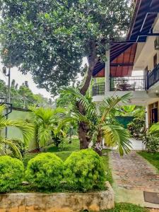 a courtyard of a house with a tree and bushes at Marathona Tourist Resort - Anuradhapura in Anuradhapura
