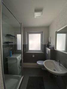 フリードリヒスハーフェンにあるApartment Friedrichshafen Centerの洗面台、トイレ、シャワー付きのバスルーム +10枚の写真