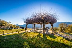 a gazebo with a tree in a field at Fairy Tale 13-acre Sunset Villa at Windy Gap Valley near Yosemite in Ahwahnee