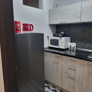 a kitchen with a black refrigerator and a microwave at COSY APARTMENT IN VERIA in Veria