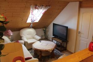 ein Wohnzimmer mit einem Sofa und einem TV in der Unterkunft Elena Apartaments in Sármellék